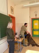 Gro-65e6a522-3f7d-4c06-87ba-60838c185d91