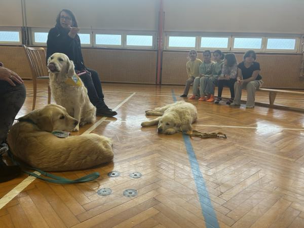 Goldies im Turnsaal 